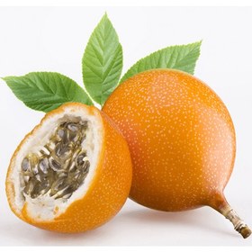 تصویر گرانادیلا Granadilla