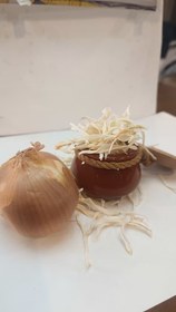 تصویر پیاز خشک 