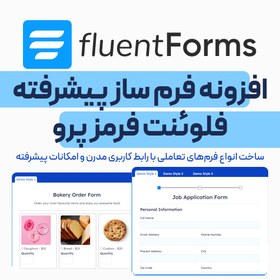 تصویر افزونه فرم ساز WP Fluent Forms Pro 