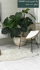 تصویر گیاه برگ انجیری مصنوعی 170 سانت 4 تنه 