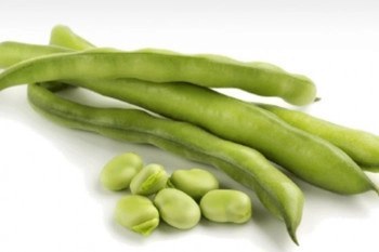 تصویر باقالی محلی گیلان (هر۱۰ کیلو)باپوست سبز 