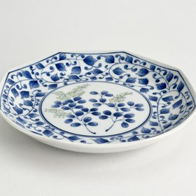 تصویر دیس آریتا 