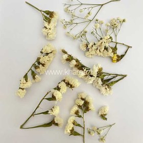 تصویر گل خشک ژیپسوفیلا 