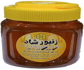 تصویر عسل کنار کوهی طبیعی نیم کیلویی 