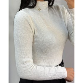 تصویر بافت ظریف H 