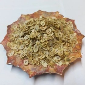 تصویر برگ گلپر (گلپر) 200گرمی 