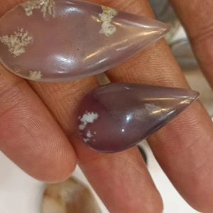 تصویر فروشگاه علی دور