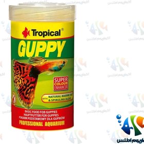 تصویر غذای ماهی گوپی تروپیکالGuppy tin 100ml / 20g TROPICAL 