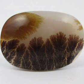 تصویر سنگ شجر کد 2302 