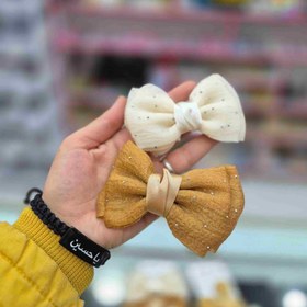 تصویر گیره سر مدل پاپیون 