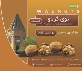 تصویر مغز گردو فسنجانی تویسرکان ـ 500 گرم 