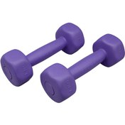 تصویر دمبل ایروبیک(بانوان)مدل نانو کامپوزیت با روکش پلی اتیلن بسته دو عددی برند وینر گروپ - بنفش / نیم کیلویی(جفت 1 کیلوگرم) Winner Group Aerobic Dumbbell for Women