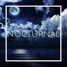 تصویر رایحه اسانس خوشبو کننده هوا ناکترنال (Nocturnal) 