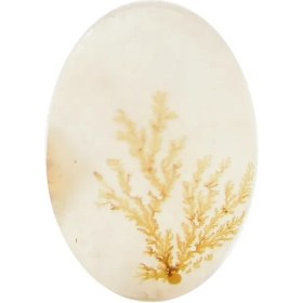 تصویر سنگ شجر کد 3040 