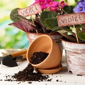 تصویر خاک مخصوص بنفشه آفریقایی درجه 1 