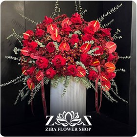 تصویر باکس گل شعله شب 