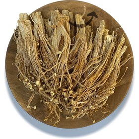 تصویر قارچ انوکی 