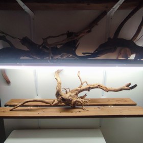 تصویر چوب آبنوس آکواریوم کد 3 