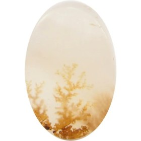 تصویر سنگ شجر کد 3043 