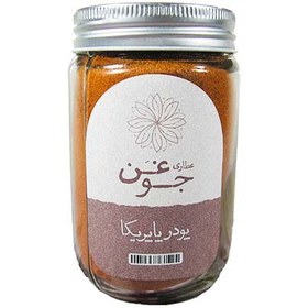 تصویر پودر پاپريکا جوغن وزن 180 گرم 