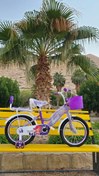 تصویر دوچرخه دخترانه عروسکی در رنگهای مختلف 