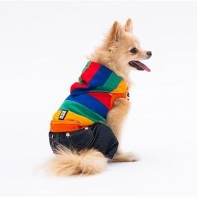 تصویر Pawstar خطوط رنگی Dog Jumpsuit لباس سگ گربه 23919 