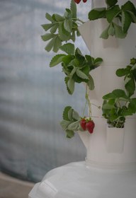 تصویر برج هیدروپنیک 