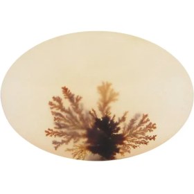 تصویر سنگ شجر کد 3034 