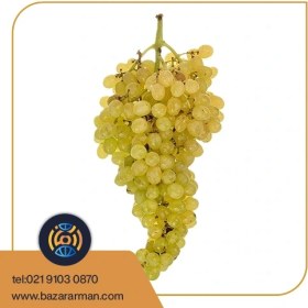 تصویر انگور زرد بی دانه 