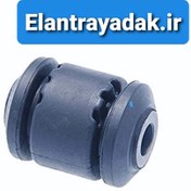 تصویر بوش طبق النترا 