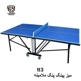 تصویر میز پینگ پنگ فدراسیونی 