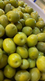 تصویر زیتون 