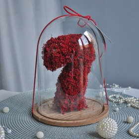 تصویر جام گل عدد 