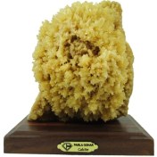 تصویر سنگ راف کلسیت پارلاگوهر کد 6514 