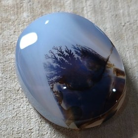 تصویر شجر قائن زیبا خاص 