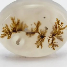 تصویر سنگ شجر کد 2310 