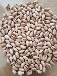 تصویر فروشگاه حبیبان پلاس