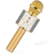 تصویر میکروفون اسپیکر مدل -858WS SPEAKER MICROPHONE MODEL 858WS