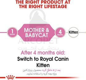 تصویر غذا خشک بچه گربه رویال کنین Royal Canin Mother and Baby cat وزن 2 کیلوگرم Royal Canin Mother and Baby Cat Dry Cat Food 2 kg