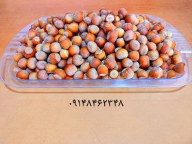 تصویر فندق اعلا ـ ۱کیلو 