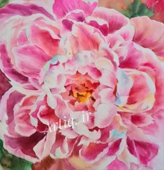 تصویر گل صورتی آبرنگ اثر استاد سوده ذاکر 