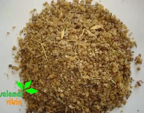 تصویر ترنجبین Manna of hedysarum