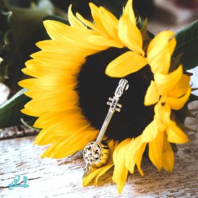 تصویر آویز ساز کمانچه 