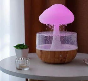 تصویر قارچ باران ساز 