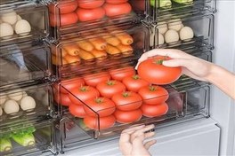 تصویر باکس نظم دهنده یخچال ترنج کوچک 