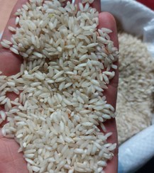 تصویر برنج عنبربو 