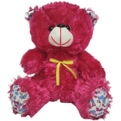 تصویر خرس تی اس مینی 22 سانتی متری TS Mini 22 CM