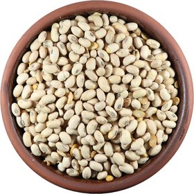 تصویر سویا آجیلی ۱ کیلوگرم 