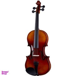 تصویر ویولن آکوستیک استگ مدل VN 4/4 L 