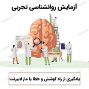 تصویر آزمایش یادگیری از راه کوشش و خطا یا ماز لابیرنت 